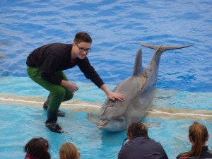 Eliot participe au spectacle des dauphins