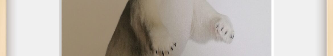 IMG_20260518_093243
